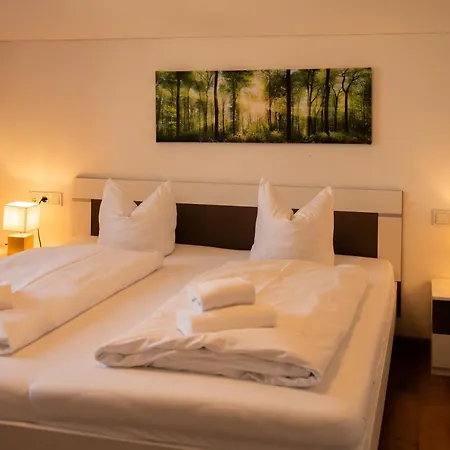 Appartement Homy Oasis In Dornbirn