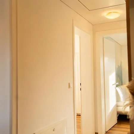 Appartement Homy Oasis In Dornbirn