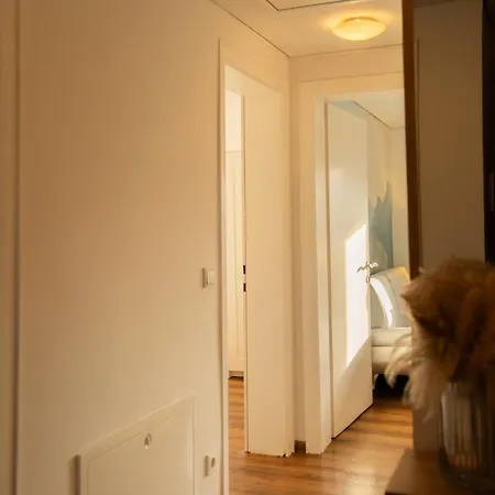 Appartement Homy Oasis In *