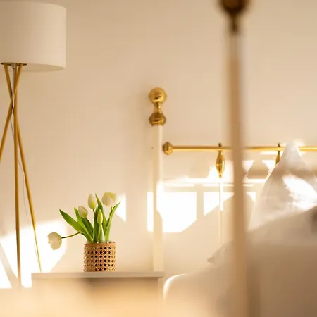 Homy Oasis In Appartement